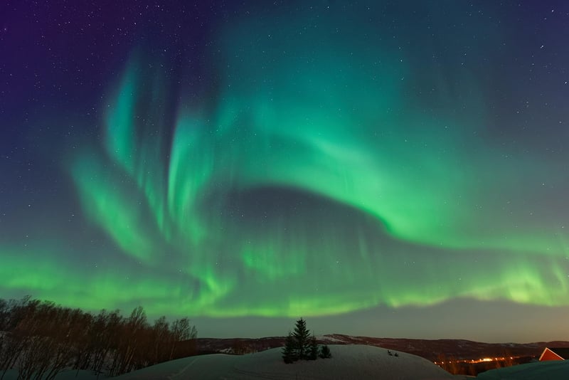Aurora Borealis Backdrop