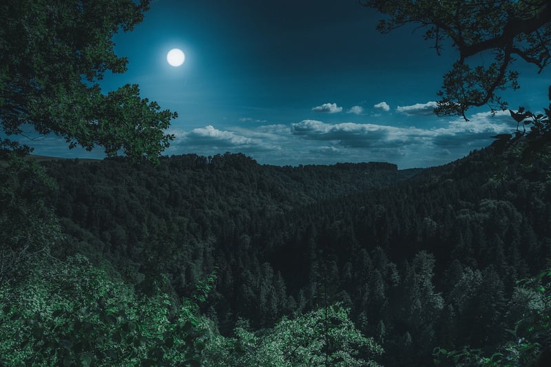Moon Phases Invitation